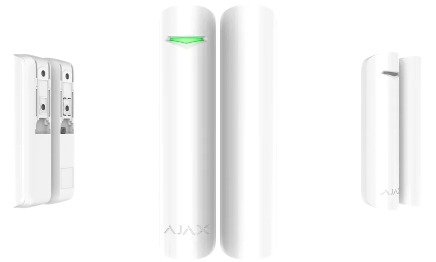 DP_W-1x.webp